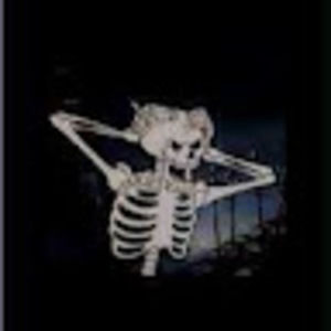 Meet your Posher, Hazel